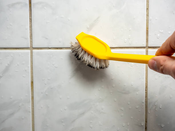 Best Attic Mold Removal  in Bryan, TX