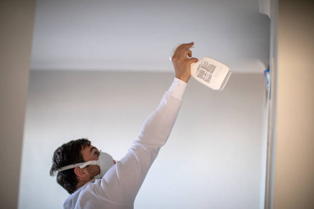 Best Affordable Mold Removal  in Bryan, TX